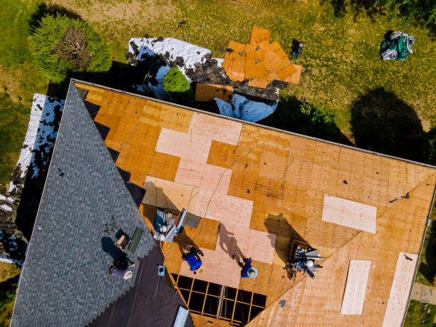 Best Roof Gutter Cleaning  in Forest Hills, MI