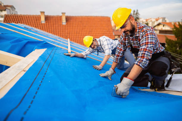 Quick and Trustworthy Emergency Roof Repair Services in Forest Hills, MI
