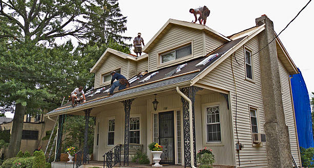 Best Flat Roof Repair Services  in Forest Hills, MI