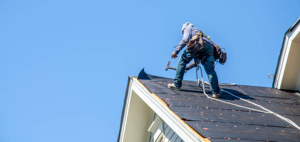 Best Roof Leak Repair  in Forest Hills, MI